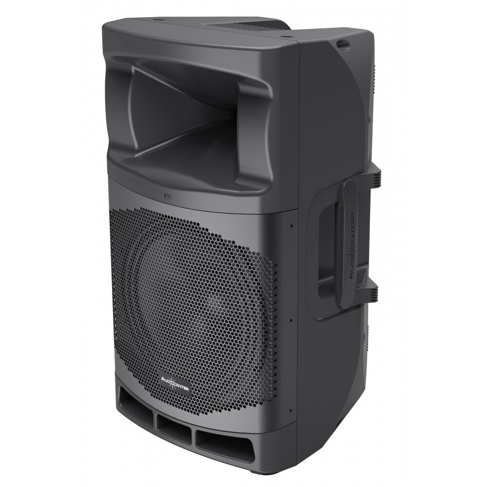 Audiocenter MA12 активная акустическая система в Осинниках