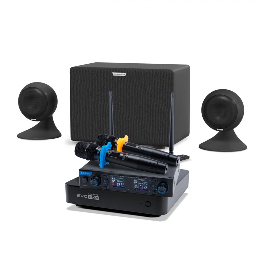 караоке-комплект EVOBOX + EvoSound Sphere 2.1 в Осинниках