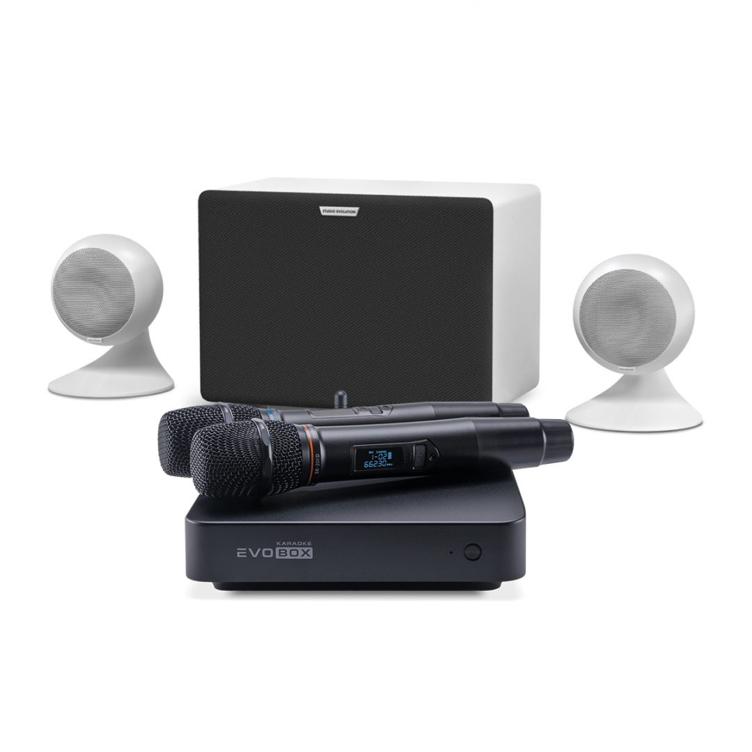 караоке-комплект EVOBOX Classic + EvoSound Sphere 2.1 в Осинниках
