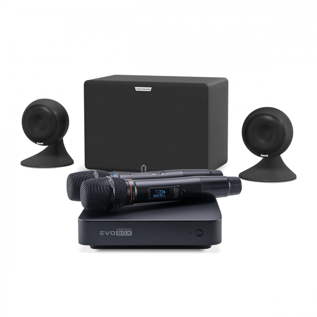 караоке-комплект EVOBOX Plus + EvoSound Sphere 2.1 в Осинниках