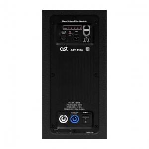 Активная акустическая система AST-312A в Осинниках
