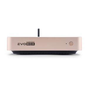 EVOBOX Plus караоке-система для дома в Осинниках