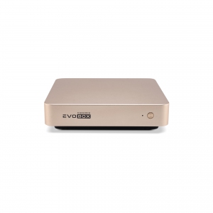EVOBOX с микрофонами в Осинниках